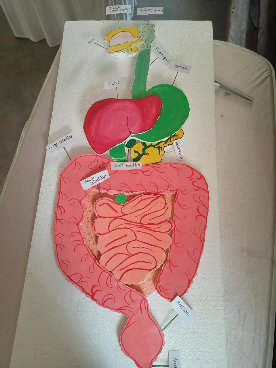 Creative learning activity